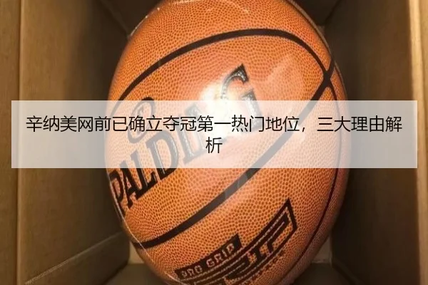 辛纳美网前已确立夺冠第一热门地位，三大理由解析